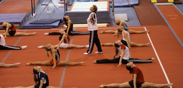Image of a gymnastic training session