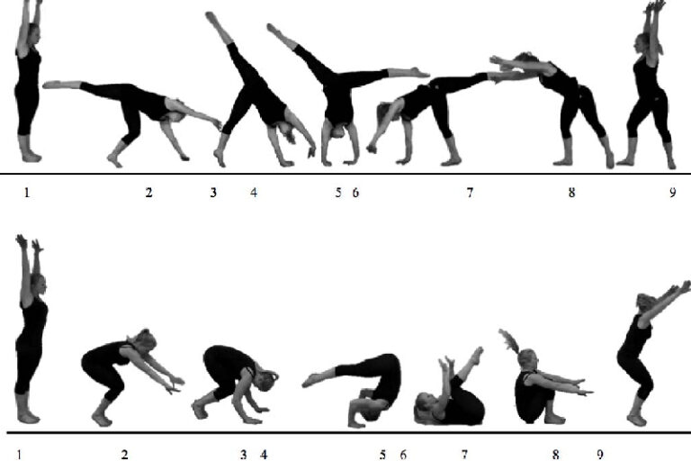 Physical Education And Gymnastics Anchorage Gymnastics