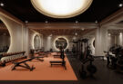 A very sophisticated gym with machines for exercise
