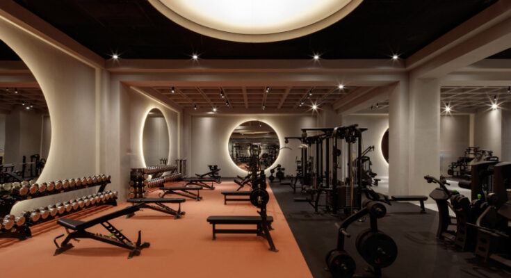 A very sophisticated gym with machines for exercise