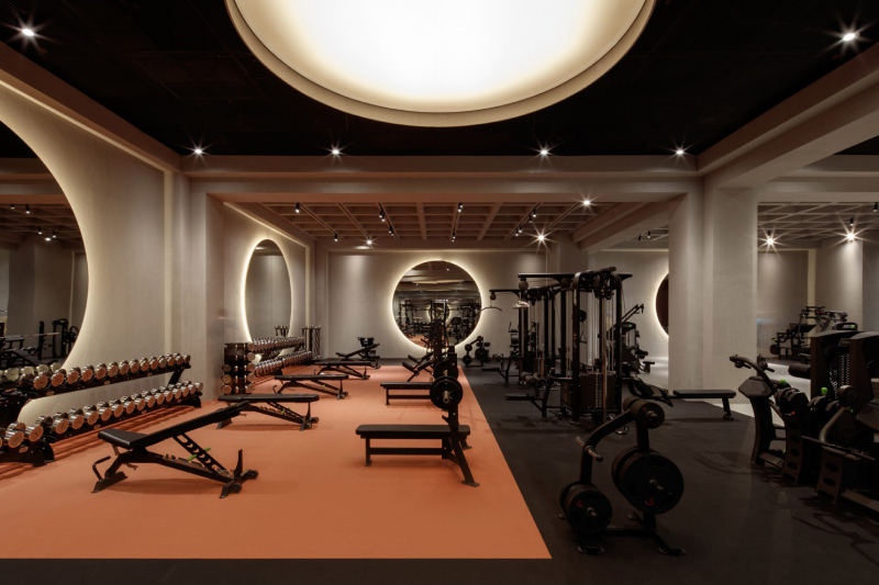 A very sophisticated gym with machines for exercise